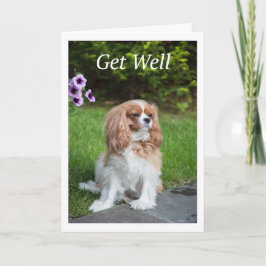 Get Well Blume Cavalier King Charles Spanschleier Karte