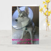 Get Well Card #2 (Funny) Karte (Gelbe Blume)