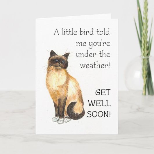 Get Well Card - Birman Cat Karte (Vorderseite)
