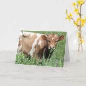 Get Well Card Karte (Gelbe Blume)