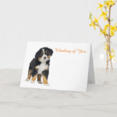 Get Well Card Karte (Gelbe Blume)