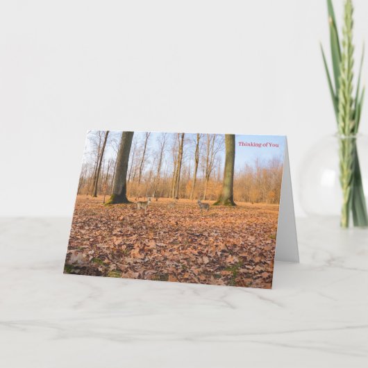 Get Well Card Karte (Vorderseite)