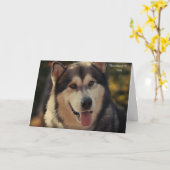 Get Well Card Karte (Gelbe Blume)