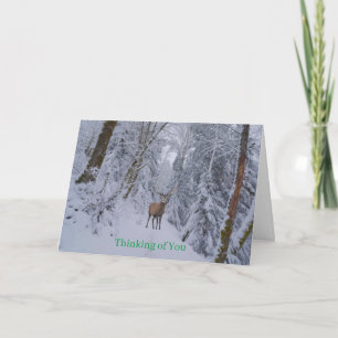 Get Well Card Karte