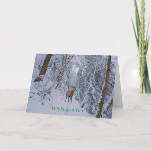 Get Well Card Karte (Vorderseite)