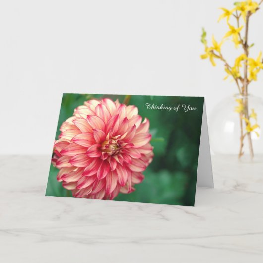 Get Well Card Karte (Gelbe Blume)