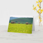 Get Well Card Karte (Gelbe Blume)