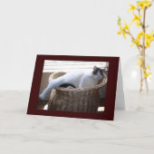 Get Well Card Karte (Gelbe Blume)