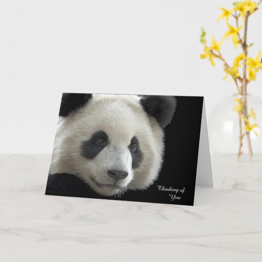 Get Well Card Panda Karte (Gelbe Blume)