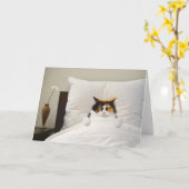 Get Well Cat Card Funny Niedlich Adorge Best Karte (Gelbe Blume)