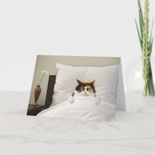 Get Well Cat Card Funny Niedlich Adorge Best Karte (Vorderseite)