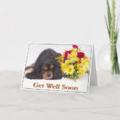Get Well Cavalier King Charles Spaniel Card Karte (Vorderseite)