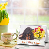 Get Well Cavalier King Charles Spaniel Card Karte