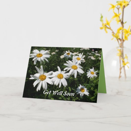 Get Well Daisies Card Karte (Gelbe Blume)