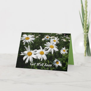 Get Well Daisies Card Karte