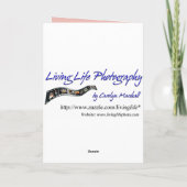 Get Well Flamingo Card Karte (Rückseite)