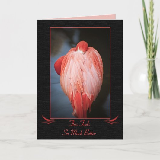 Get Well Flamingo Card Karte (Vorderseite)