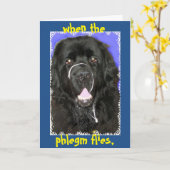 Get Well Greeting ~ Neufundland Karte (Gelbe Blume)