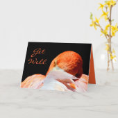 Get Well_ Karte (Gelbe Blume)