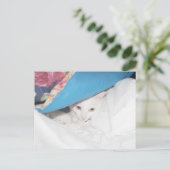 Get Well Postcard Postkarte (Stehend Vorderseite)