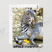 Get Well_ Postkarte (Vorne/Hinten)