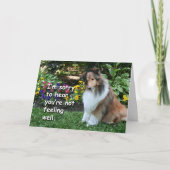 Get Well Sheltie Karte (Vorderseite)