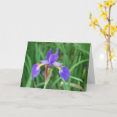 Get Well- Siberian Iris 2 Karte (Gelbe Blume)