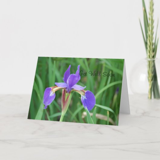 Get Well- Siberian Iris 2 Karte (Vorderseite)