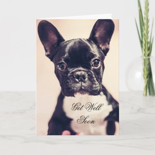 Get Well Soon French Bulldog dog greeting card Karte (Vorderseite)