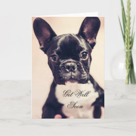 Get Well Soon French Bulldog dog greeting card Karte