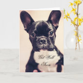 Get Well Soon French Bulldog dog greeting card Karte (Gelbe Blume)
