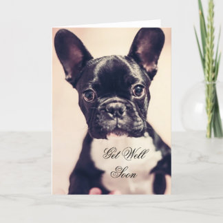 Get Well Soon French Bulldog dog greeting card Karte