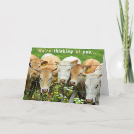 Get Well Soon  Ranch Farm Cattle Country Flowers Karte