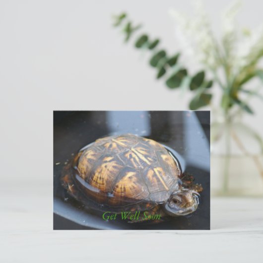 Get well soon turtle Postcard Postkarte (Stehend Vorderseite)