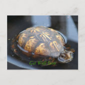 Get well soon turtle Postcard Postkarte (Vorderseite)