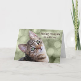 Get Well Tabby Kitten mit Green Bokeh Karte