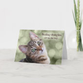 Get Well Tabby Kitten mit Green Bokeh Karte (Vorderseite)