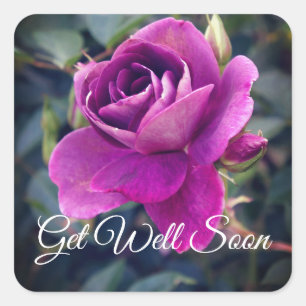 Get Well Well Burgundy Iceberg #2-2 Stickers