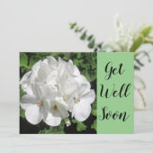 Get Well White Geranium Fotografy (Stehend Vorderseite)