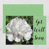 Get Well White Geranium Fotografy (Vorne/Hinten)