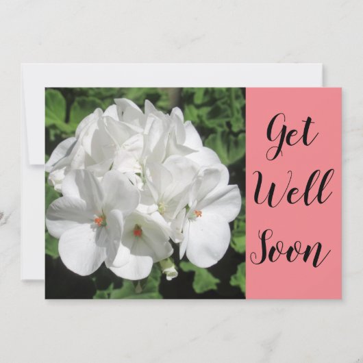 Get Well White Geranium Fotografy (Vorderseite)