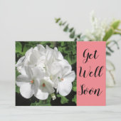 Get Well White Geranium Fotografy (Stehend Vorderseite)