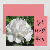 Get Well White Geranium Fotografy (Vorne/Hinten)