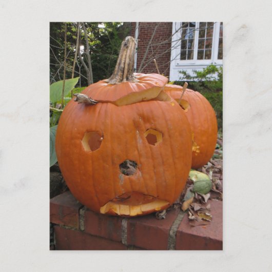 Getankter Kürbis Postkarte (Vorderseite)