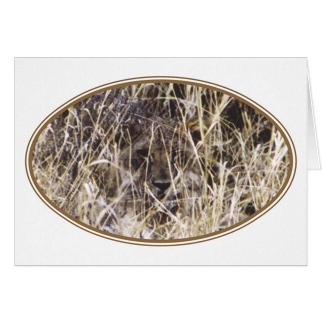 Getarntes Simba (Löwe) (Vorderseite (Horizontal))