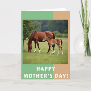 Geteilte Border Equine Karte
