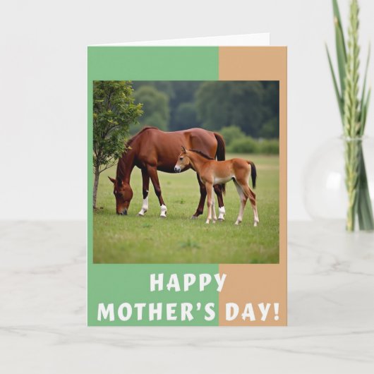 Geteilte Border Equine Karte (Vorderseite)