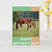 Geteilte Border Equine Karte (Gelbe Blume)