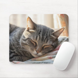 Getigelte Katze schläft auf alter Steppdecke Mousepad