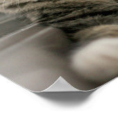 Getigerte Katze an einem Fenster Poster (Ecke)